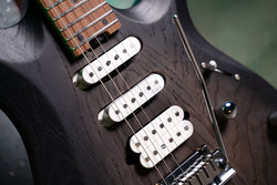 X700 Triality Fishman Pickups