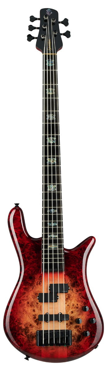 Spector Euro CST Image